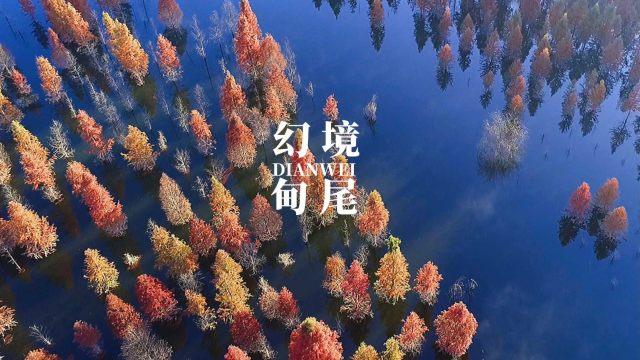 逗小猴开心系列193